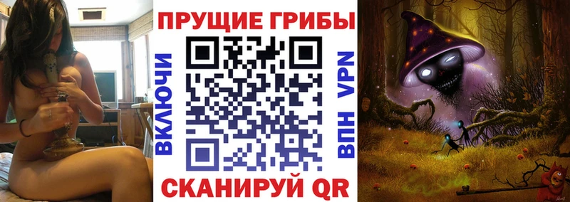 Псилоцибиновые грибы прущие грибы  Купить закладки  Уссурийск 